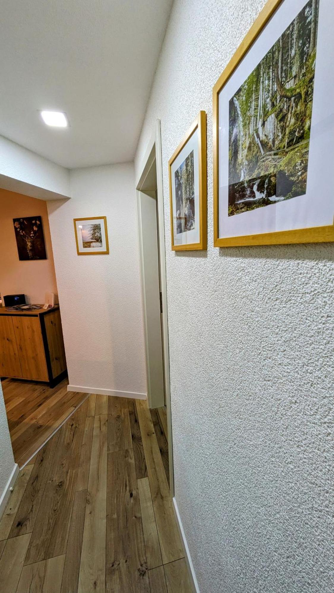 Ferienwohnung Albbruck/Albert Exterior foto